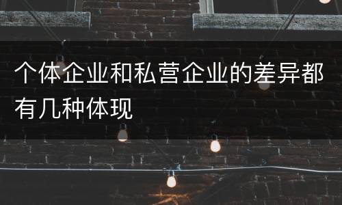 个体企业和私营企业的差异都有几种体现
