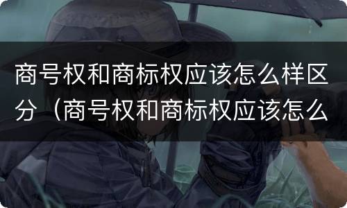 商号权和商标权应该怎么样区分（商号权和商标权应该怎么样区分呢）