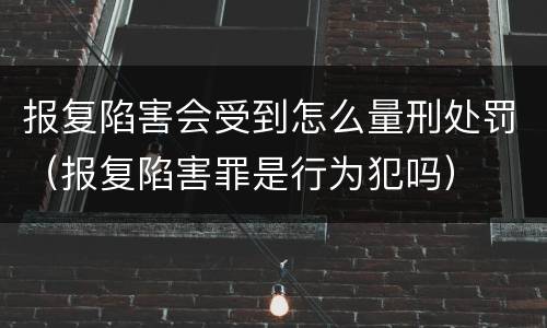 报复陷害会受到怎么量刑处罚（报复陷害罪是行为犯吗）