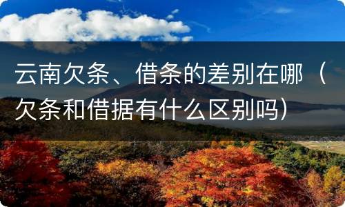 云南欠条、借条的差别在哪（欠条和借据有什么区别吗）