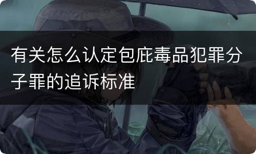 有关怎么认定包庇毒品犯罪分子罪的追诉标准