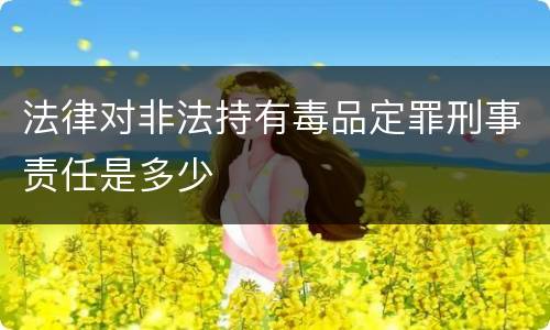 法律对非法持有毒品定罪刑事责任是多少