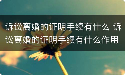 诉讼离婚的证明手续有什么 诉讼离婚的证明手续有什么作用