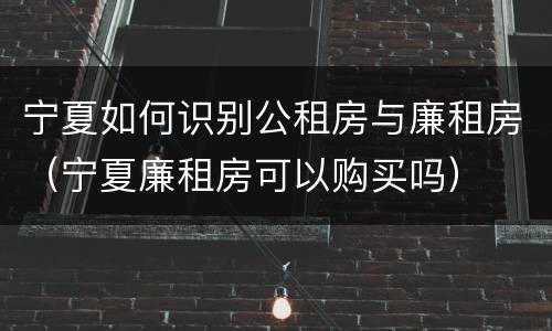 宁夏如何识别公租房与廉租房（宁夏廉租房可以购买吗）
