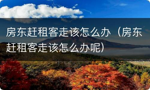 房东赶租客走该怎么办（房东赶租客走该怎么办呢）