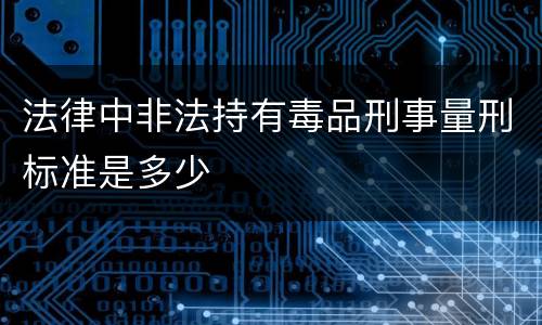 法律中非法持有毒品刑事量刑标准是多少