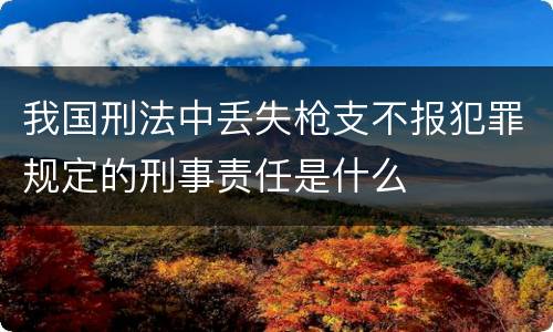 我国刑法中丢失枪支不报犯罪规定的刑事责任是什么