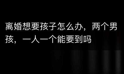 离婚想要孩子怎么办，两个男孩，一人一个能要到吗