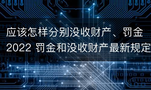 应该怎样分别没收财产、罚金2022 罚金和没收财产最新规定