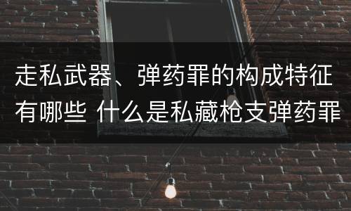 走私武器、弹药罪的构成特征有哪些 什么是私藏枪支弹药罪