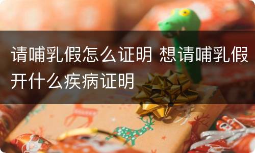 请哺乳假怎么证明 想请哺乳假开什么疾病证明