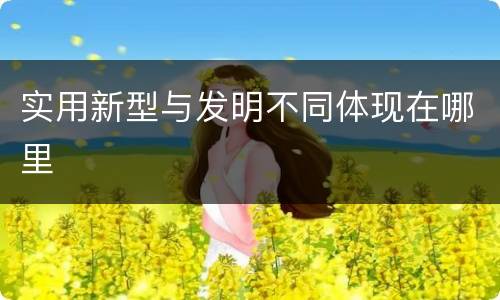 实用新型与发明不同体现在哪里