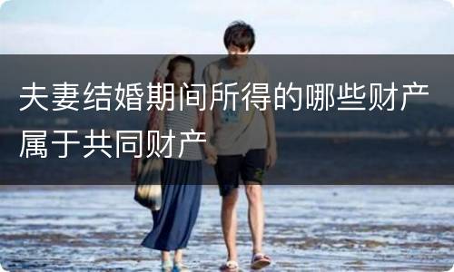 夫妻结婚期间所得的哪些财产属于共同财产
