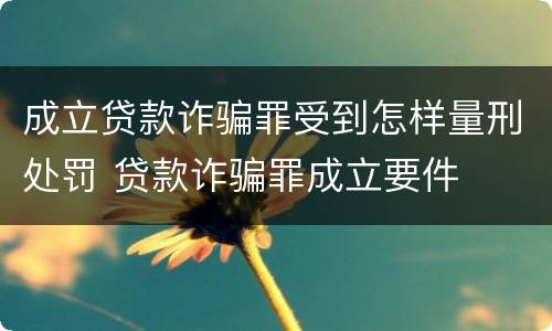 成立贷款诈骗罪受到怎样量刑处罚 贷款诈骗罪成立要件