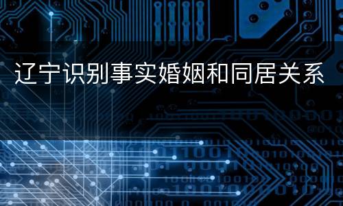 辽宁识别事实婚姻和同居关系
