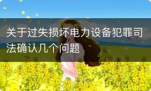 关于过失损坏电力设备犯罪司法确认几个问题
