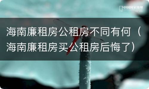 海南廉租房公租房不同有何（海南廉租房买公租房后悔了）