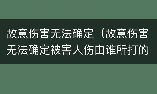 故意伤害无法确定（故意伤害无法确定被害人伤由谁所打的无罪辩护思路）
