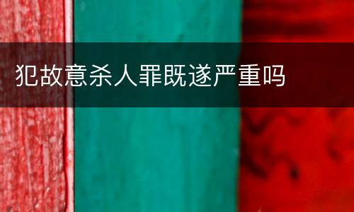 犯故意杀人罪既遂严重吗