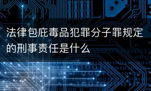 法律包庇毒品犯罪分子罪规定的刑事责任是什么