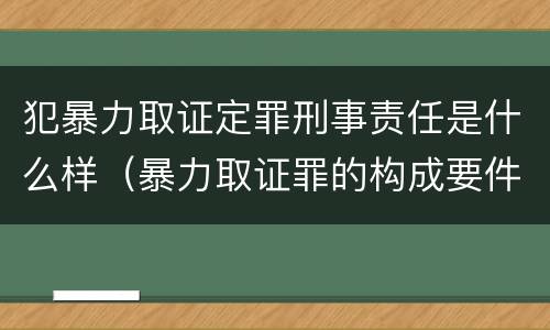 犯暴力取证定罪刑事责任是什么样（暴力取证罪的构成要件）
