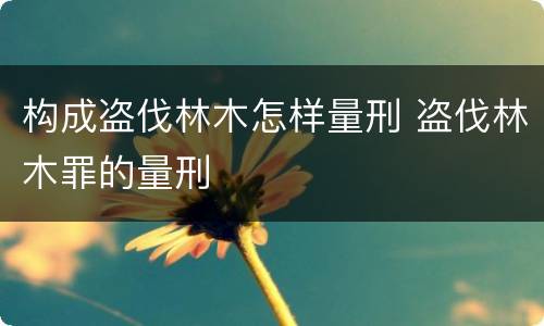 构成盗伐林木怎样量刑 盗伐林木罪的量刑