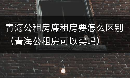 青海公租房廉租房要怎么区别（青海公租房可以买吗）
