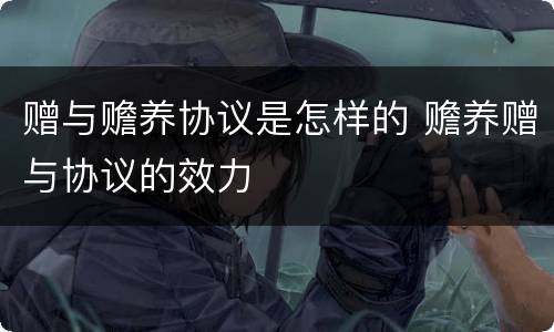 赠与赡养协议是怎样的 赡养赠与协议的效力