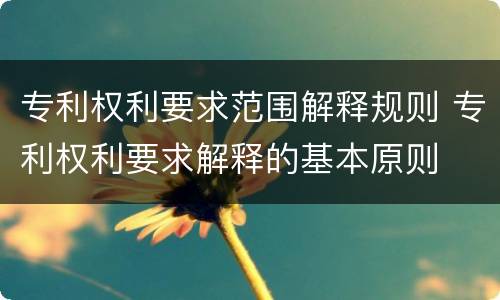 专利权利要求范围解释规则 专利权利要求解释的基本原则