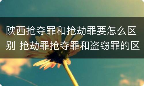 陕西抢夺罪和抢劫罪要怎么区别 抢劫罪抢夺罪和盗窃罪的区别