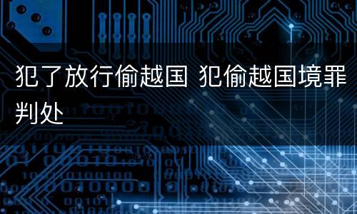 犯了放行偷越国 犯偷越国境罪判处