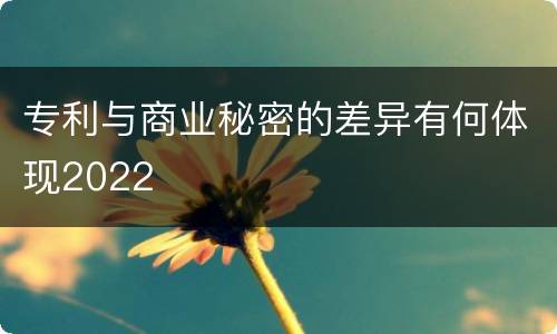 专利与商业秘密的差异有何体现2022