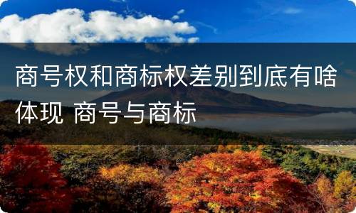 商号权和商标权差别到底有啥体现 商号与商标