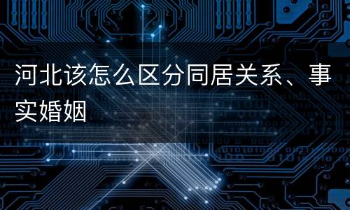 河北该怎么区分同居关系、事实婚姻