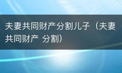 夫妻共同财产分割儿子（夫妻共同财产 分割）