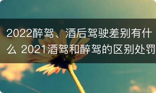 2022醉驾、酒后驾驶差别有什么 2021酒驾和醉驾的区别处罚