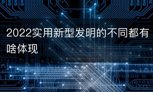 2022实用新型发明的不同都有啥体现