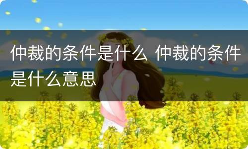 仲裁的条件是什么 仲裁的条件是什么意思