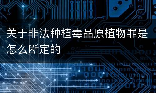 关于非法种植毒品原植物罪是怎么断定的