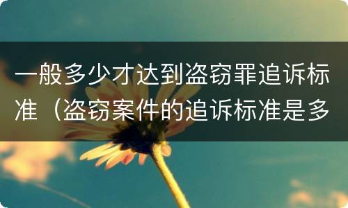 一般多少才达到盗窃罪追诉标准（盗窃案件的追诉标准是多少）
