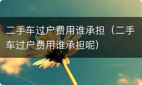 二手车过户费用谁承担（二手车过户费用谁承担呢）