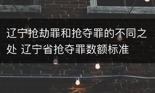 辽宁抢劫罪和抢夺罪的不同之处 辽宁省抢夺罪数额标准