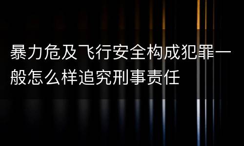 暴力危及飞行安全构成犯罪一般怎么样追究刑事责任