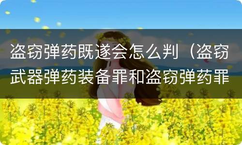 盗窃弹药既遂会怎么判（盗窃武器弹药装备罪和盗窃弹药罪区别）