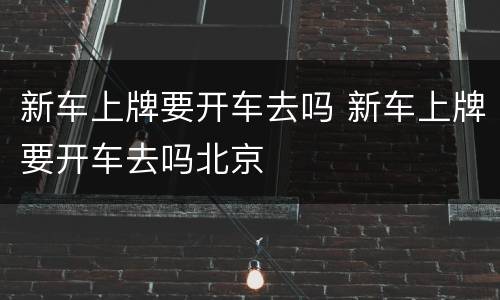 新车上牌要开车去吗 新车上牌要开车去吗北京