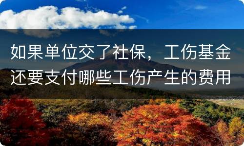 如果单位交了社保，工伤基金还要支付哪些工伤产生的费用