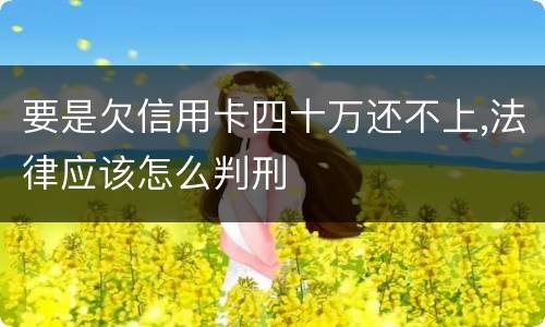 要是欠信用卡四十万还不上,法律应该怎么判刑