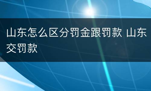 山东怎么区分罚金跟罚款 山东交罚款