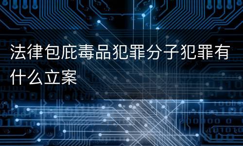 法律包庇毒品犯罪分子犯罪有什么立案