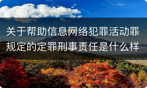 关于帮助信息网络犯罪活动罪规定的定罪刑事责任是什么样的